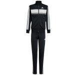 Tepláková súprava adidas Seasonal Essentials Tiberio 3-Stripes Tricot Jr JY0509 164 cm
