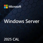 Microsoft Windows Server 2025 CAL EP2-25225 / Licencia / 1 Device CAL / ENG / OEM (EP2-25225)