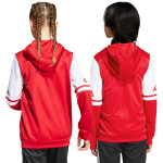 Mikina adidas Squadra 25 Hoodie Jr JD4801 152CM
