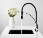 SAPHO SAPHO - HEBE stojanková drezová batéria so sprškou, chróm HT430