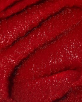 Vilgain Paradajkový pretlak BIO – 200 g