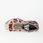 Tenisky Salomon Xt-Whisper Burnt Ochre/ Alloy/ Vanila EUR 46