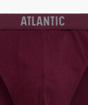 Pánske slipy 5 pack 004/2 - Atlantic vícebarevná S