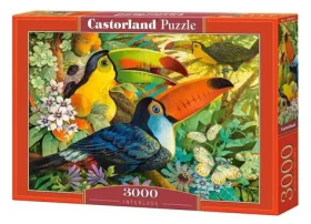 Castorland 300433 Farebné tukany