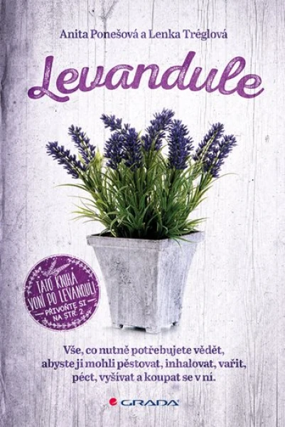 Levandule, Tréglová Lenka