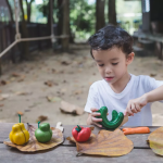 PlanToys PlanToys Krivé ovocie a zelenina
