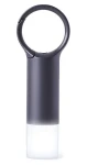 Lexon Nomaday Flash LL137X sivá / LED kľúčenka / IPX4 / USB-C (LL137X)