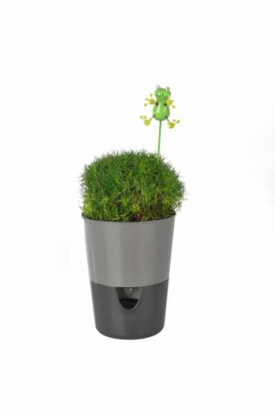 Plastia Samozavlažovací kvetináč Rosmarin sivá/antracit 11 cm