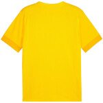 Puma teamGoal Matchday Jersey M 705747 07 muži L