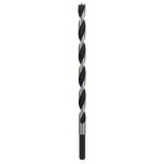 Bosch Accessories 2608597190 špirálový vrták do dreva 12 mm Celková dĺžka 250 mm valcová stopka 1 ks; 2608597190