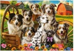 Castorland 105410-2 Puzzle Šťastné psy na vidieku