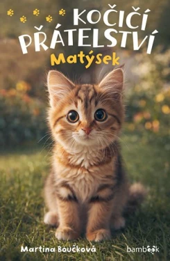 Kočičí přátelství - Matýsek, Boučková Martina