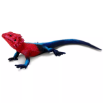 Safari Ltd. Safari Ltd. Figúrka - Agama plochohlavá - Mwanza