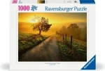 Ravensburger Ráno v zlatých lúčoch