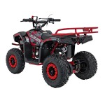 Mamido Detská benzínová štvorkolka RamiGO SIRIUS 49CC červená