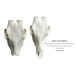 Filament-PM PLA tlačová struna biela 1,75 mm 1 kg Filament PM