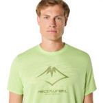 Asics Fujitrail Logo SS Top M 2011C981-30 Tričko pre mužov S