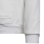 Entrada 22 Hoody Jr Adidas