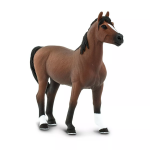 Safari Ltd. Safari Ltd. Morgan