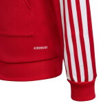 Squadra 21 Hoody Youth Jr GP6433 Adidas