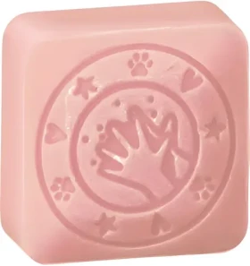 Colop Pečiatka little NIO Cleany Stamp Leo