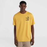 Tričko O'Neill Future Surf Society M 92800613523 M