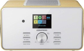 Grundig Grundig DTR 6000 X brown