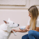 Bella Rose Porcelánová miska Dej pac 450 ml