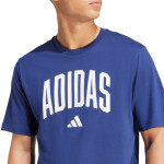 Tričko adidas Collegiate Lineage Graphic M JM6417 pánske S