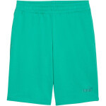 Pánske šortky Puma ESS No.1 Logo 10" (s) zelené 682595 40 S