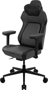 ThunderX3 ThunderX3 CORE Smart Ergonomischer Gaming Stuhl - Modern Black