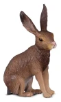Collecta Zajac poľný