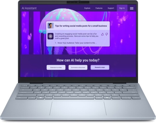 Dell 14 Plus DB14250 Ultra 7 256V / 16 GB / 512 GB / W11 Pro / 90 Hz (DB14250_LNL_208_NOR)