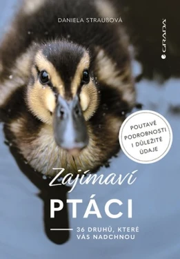 Zajímaví ptáci, Straußová Daniela