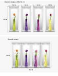 Veselá Stena Samolepka Tulipány vo váze