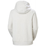 Helly Hansen HH Logo Hoodie 34461 823