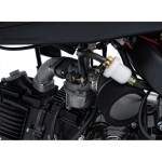 Mamido Detská benzínová motorka RamiGO IMMORTAL 110CC červená