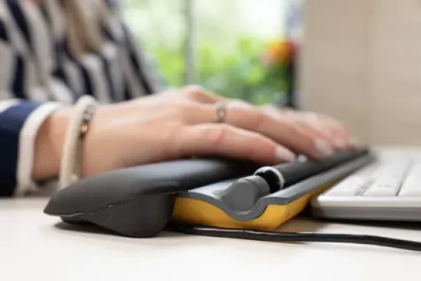 BakkerElkhuizen ErgoSlider PLUS / Ergonomická centrálna myš / káblová / 1600 DPI / 5 tlačidiel (BNEESLDG)