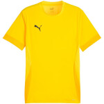 Puma teamGoal Matchday Jersey M 705747 07 muži L