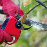Elektrické nožnice FELCO 834W so strihom do 34 mm