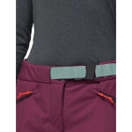 Dámske lyžiarske nohavice Jack Wolfskin Alpspitze Pants W 1507531-1014 40