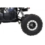 Mamido Detská benzínová štvorkolka RamiGO WILDPEAK 110CC čierna