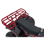 Mamido Detská benzínová štvorkolka RamiGO SIRIUS 49CC červená