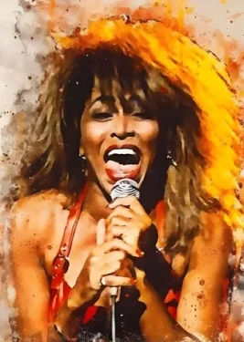 Norimpex Maľovanie podľa čísel Tina Turner spieva