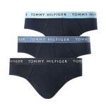 Tommy Hilfiger Wb Brief M UM0UM02389 S