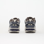 Tenisky Salomon Acs Pro Gtx LunRoc/ Grisai/ Pkiten EUR 46 2/3