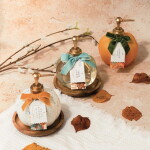 Somerset Toiletry Tekuté mydlo na ruky v dávkovači White Pumpkin and Sage 500 ml