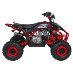 Mamido Detská benzínová štvorkolka RamiGO DESERT STORM LIFT 125CC červená