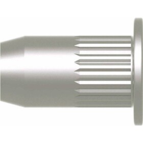 Gesipa 1433706 slepá nitovacie matice (Ø x d) 9 mm x 15.5 mm M6 ocel 250 ks; 1433706