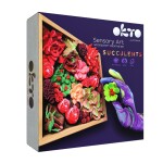 OKTO Passion Art modelovací set sukulenty v drevenom ráme 21x21 cm, OKTO, W034377